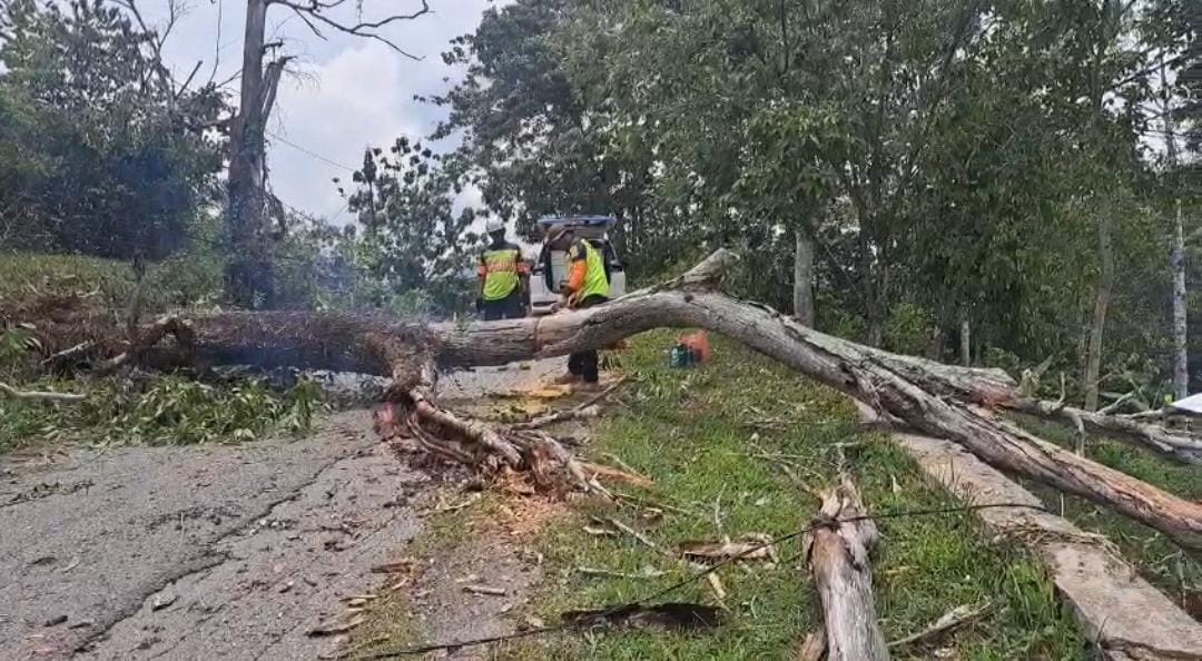 WMI mobilisasi Relawan di Kota Solok Sumatera Barat 