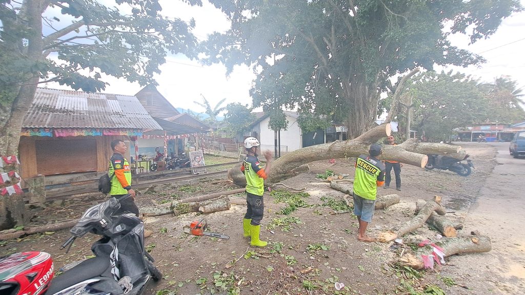 Volunteer WMI